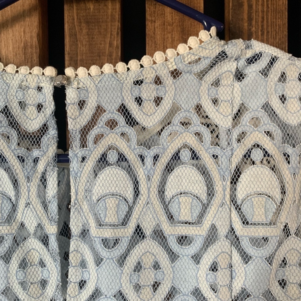 Anthropologie HD Lace Signa Pleasant Top. Sz 4 - Picture 7 of 10